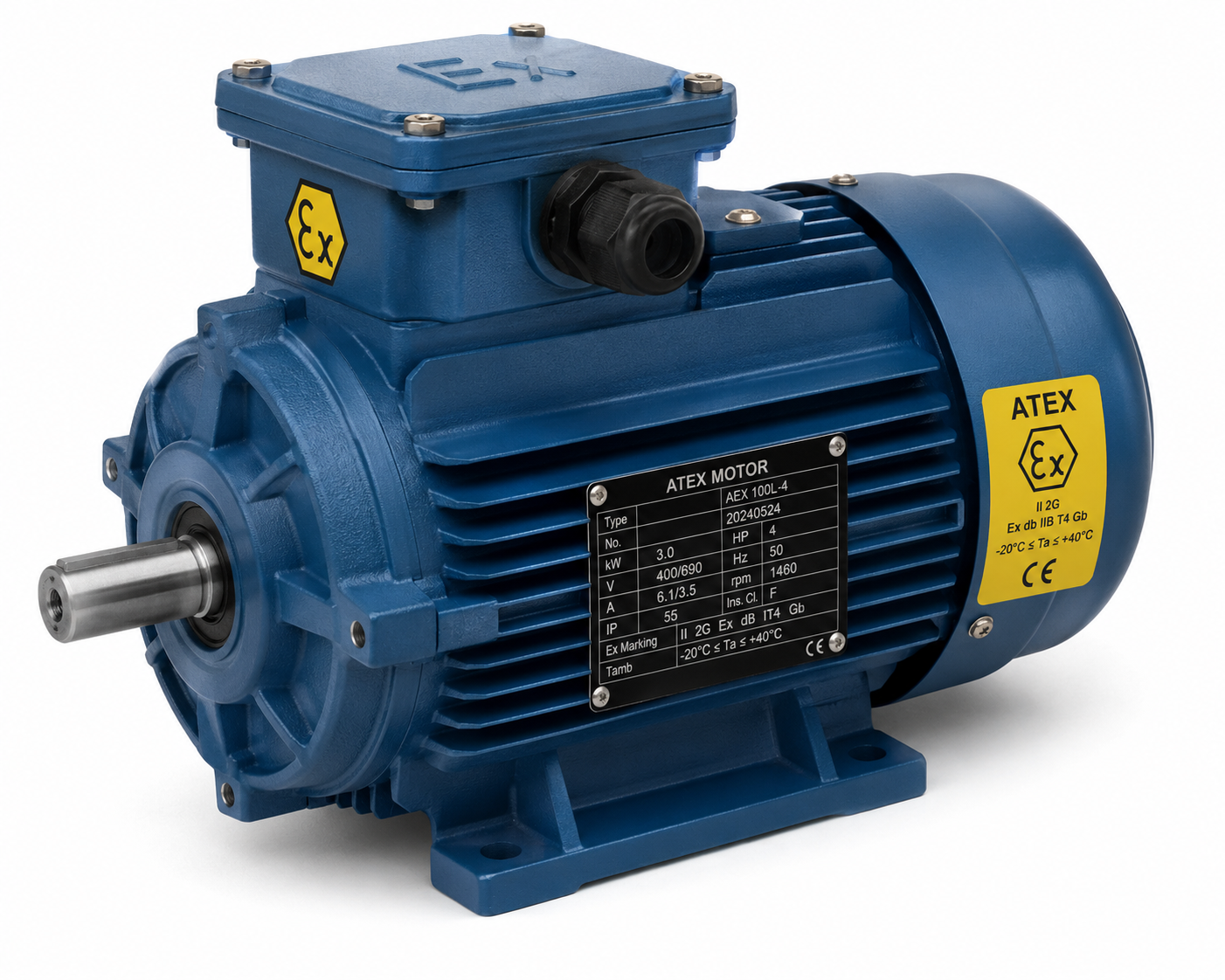 ATEX Explosion Proof Motors